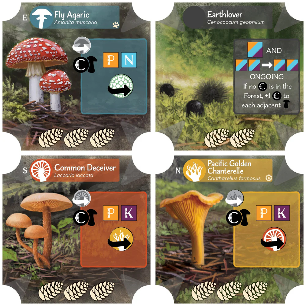 AEG: Undergrove - Forest Fungi Strategy Board Game - Image 3