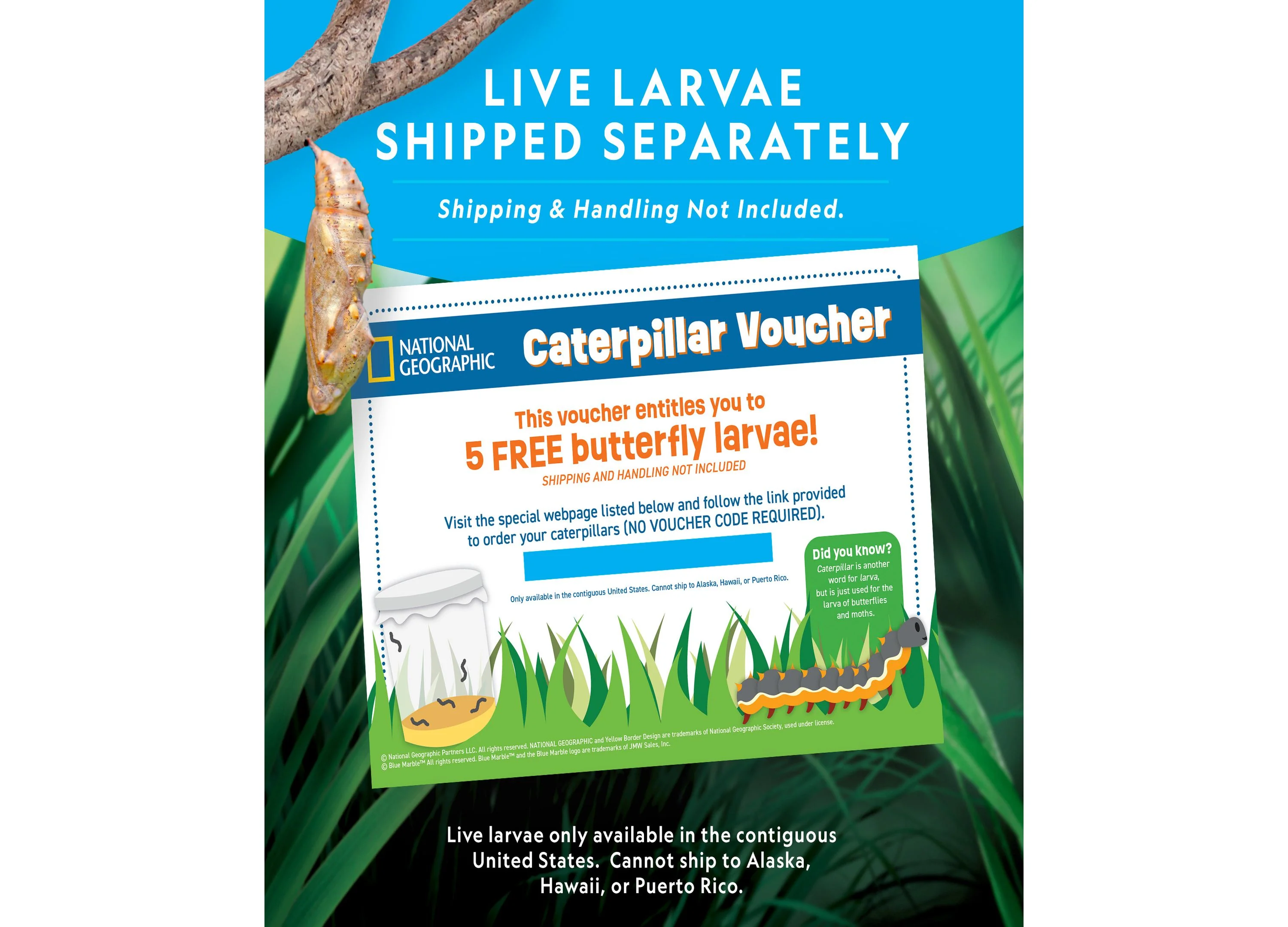National Geographic Butterfly Growing Kit – Discover Metamorphosis - Image 3