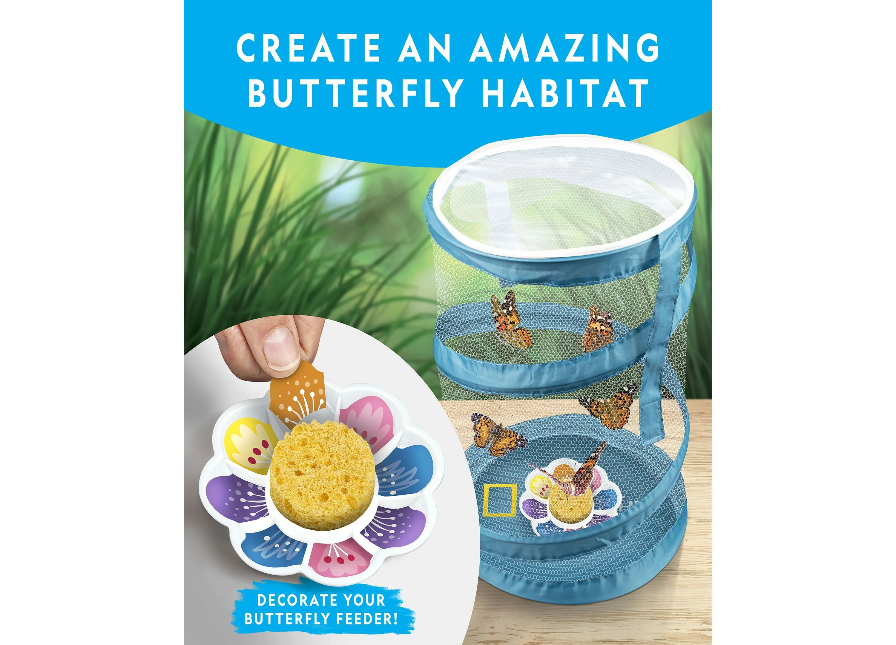 National Geographic Butterfly Growing Kit – Discover Metamorphosis - Image 4