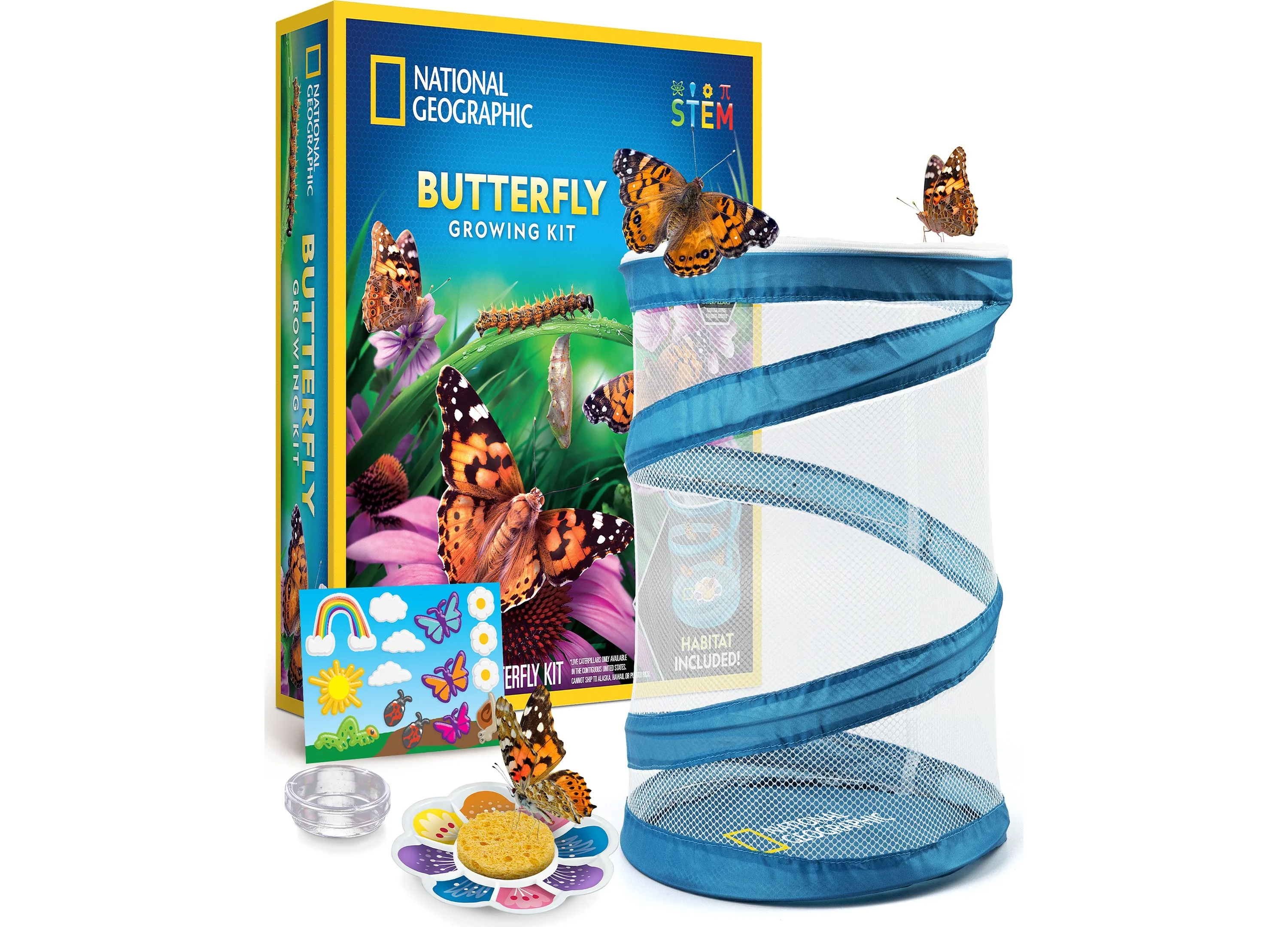 National Geographic Butterfly Growing Kit – Discover Metamorphosis - Image 6