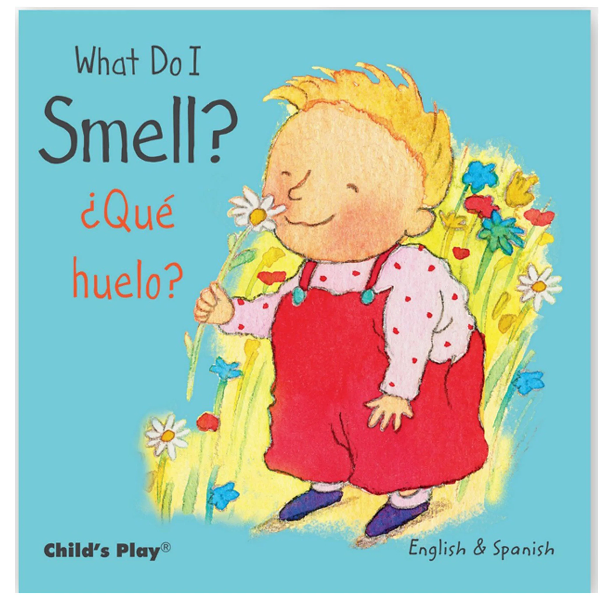 Child's Play Books Small Senses 5-Piece Bilingual Board Book Set - Image 4