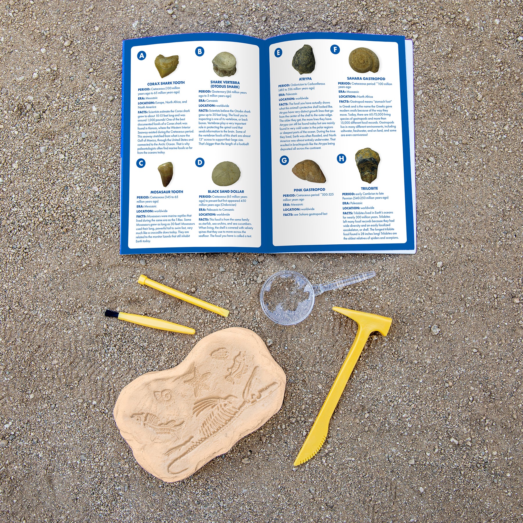 Educational Insights GeoSafari® Jr. Fossil Excavation Kit - Image 4