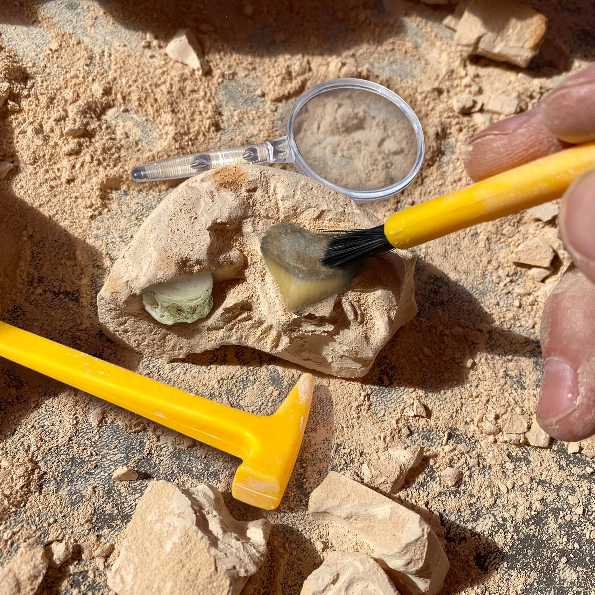 Educational Insights GeoSafari® Jr. Fossil Excavation Kit - Image 5