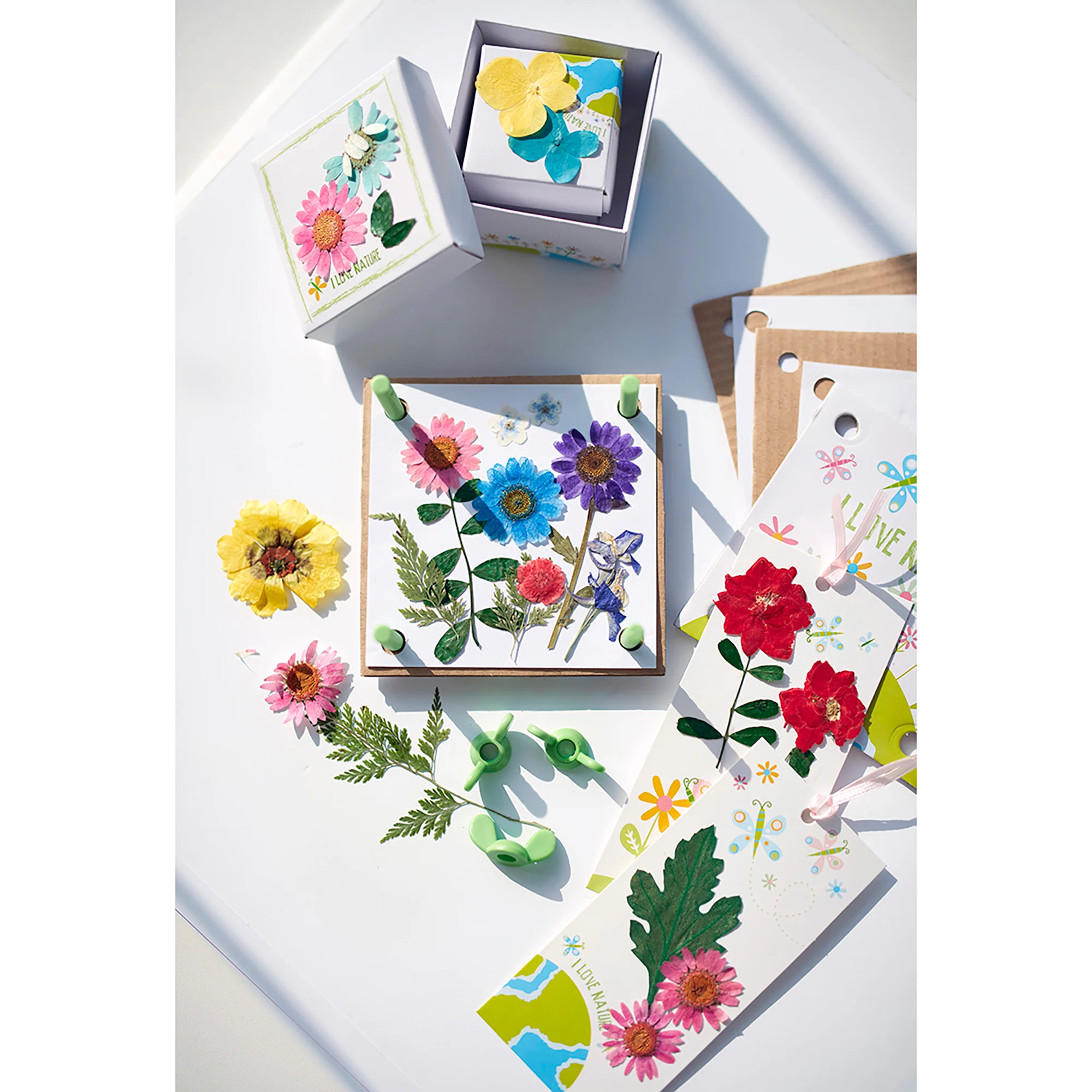 4M Green Creativity Pressed Flower Art Kit With 4-Inch Press - Image 4