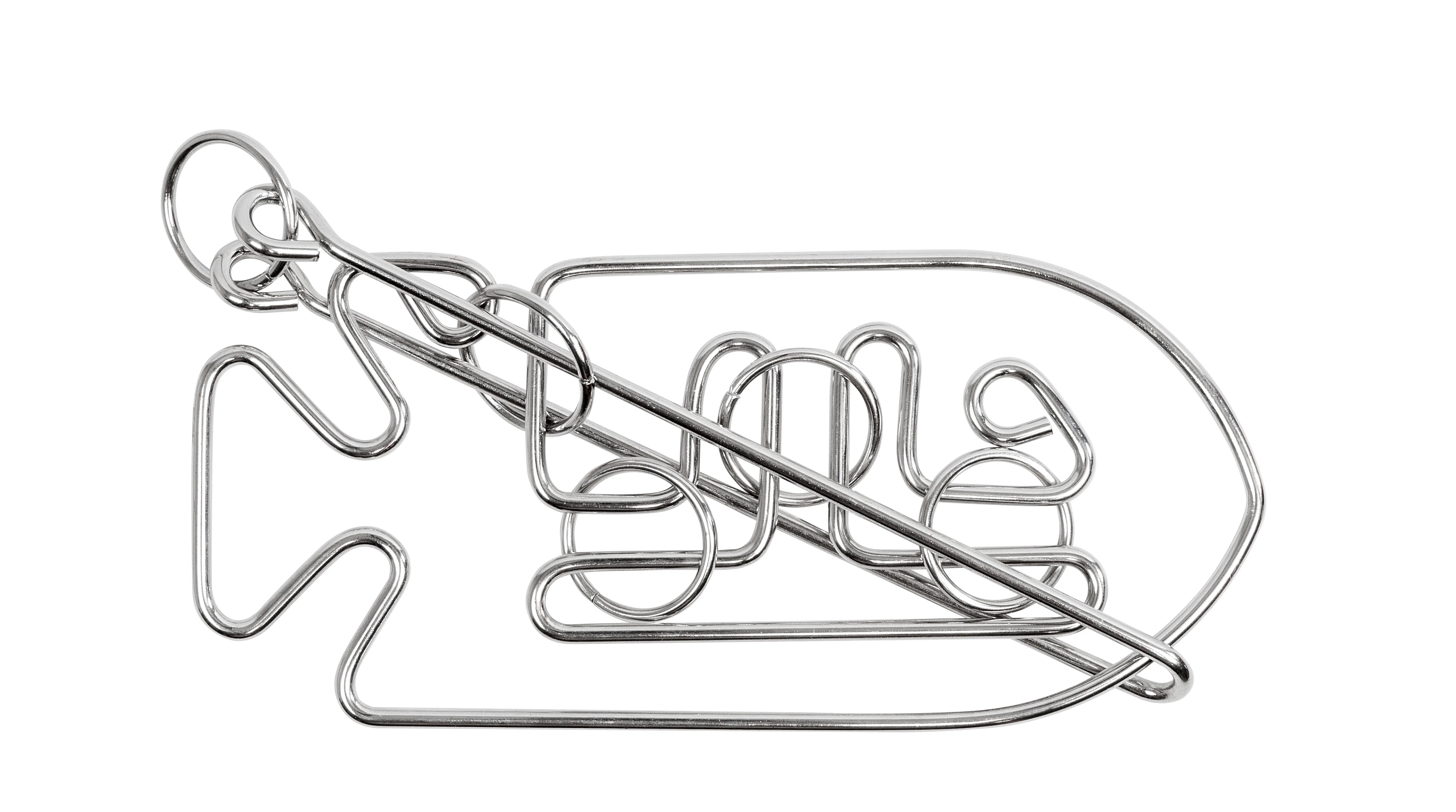Professor Puzzle Einstein Collection Fish Metal Puzzle