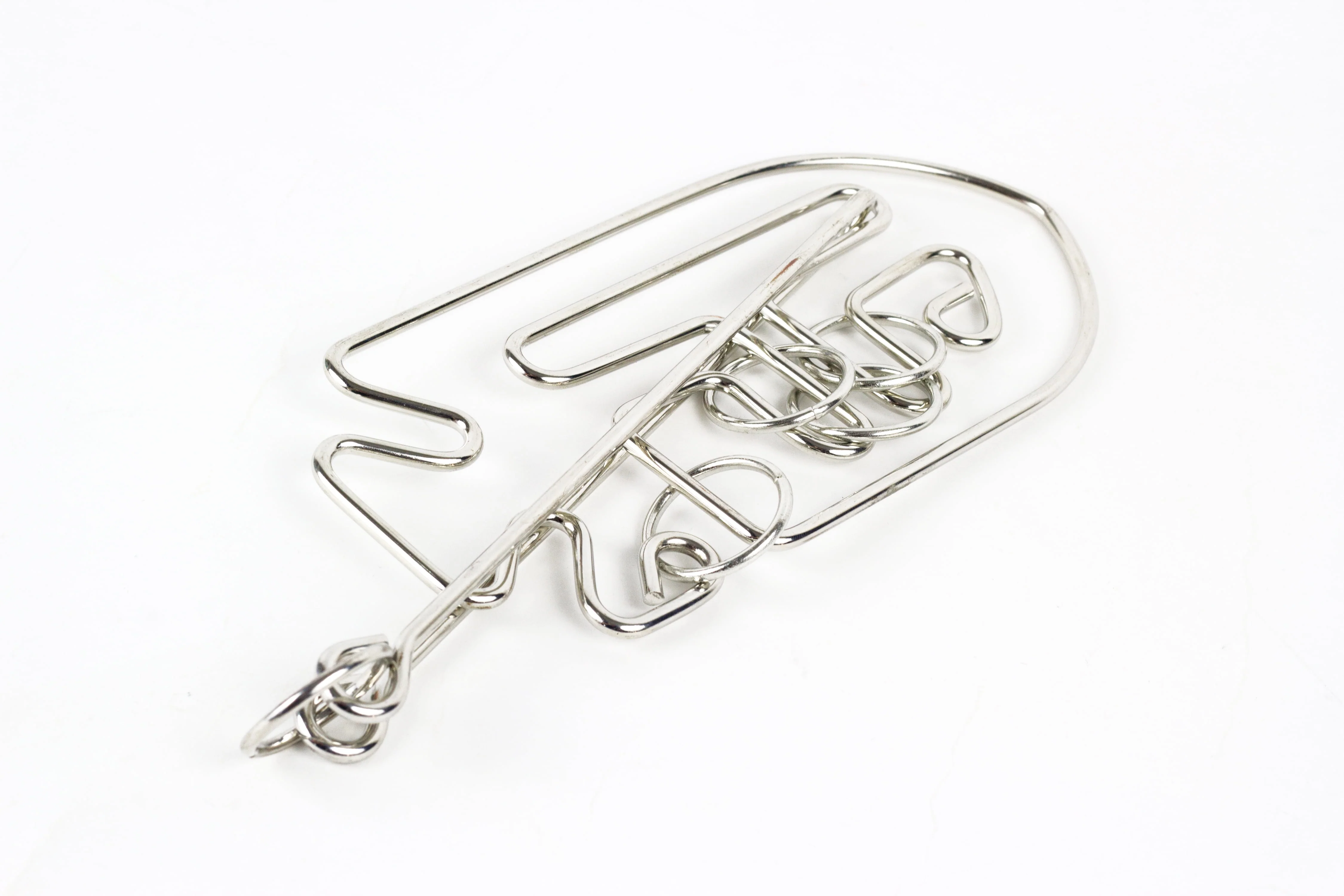 Professor Puzzle Einstein Collection Fish Metal Puzzle - Image 2