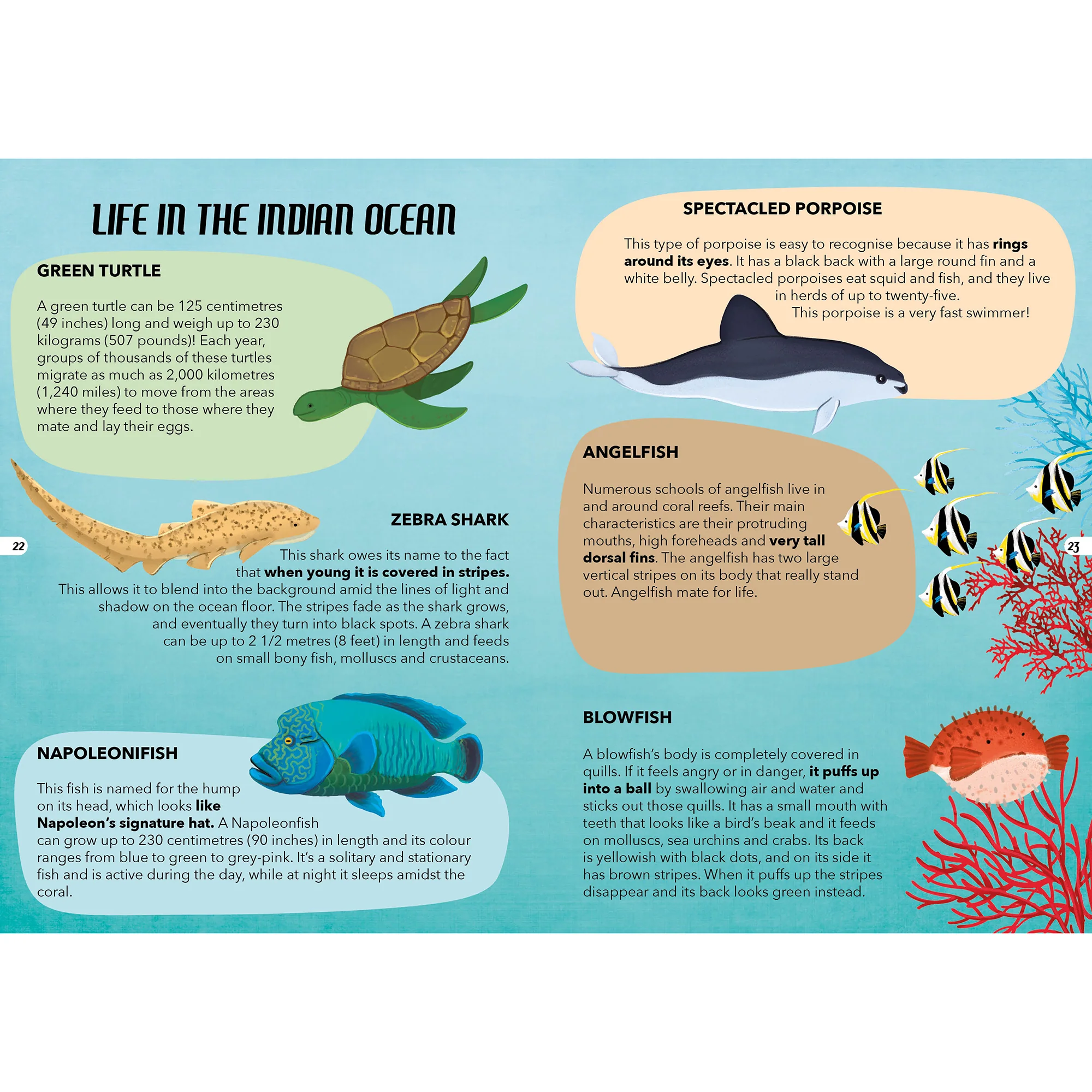 TLE: The Sea Interactive Storybook - Image 4