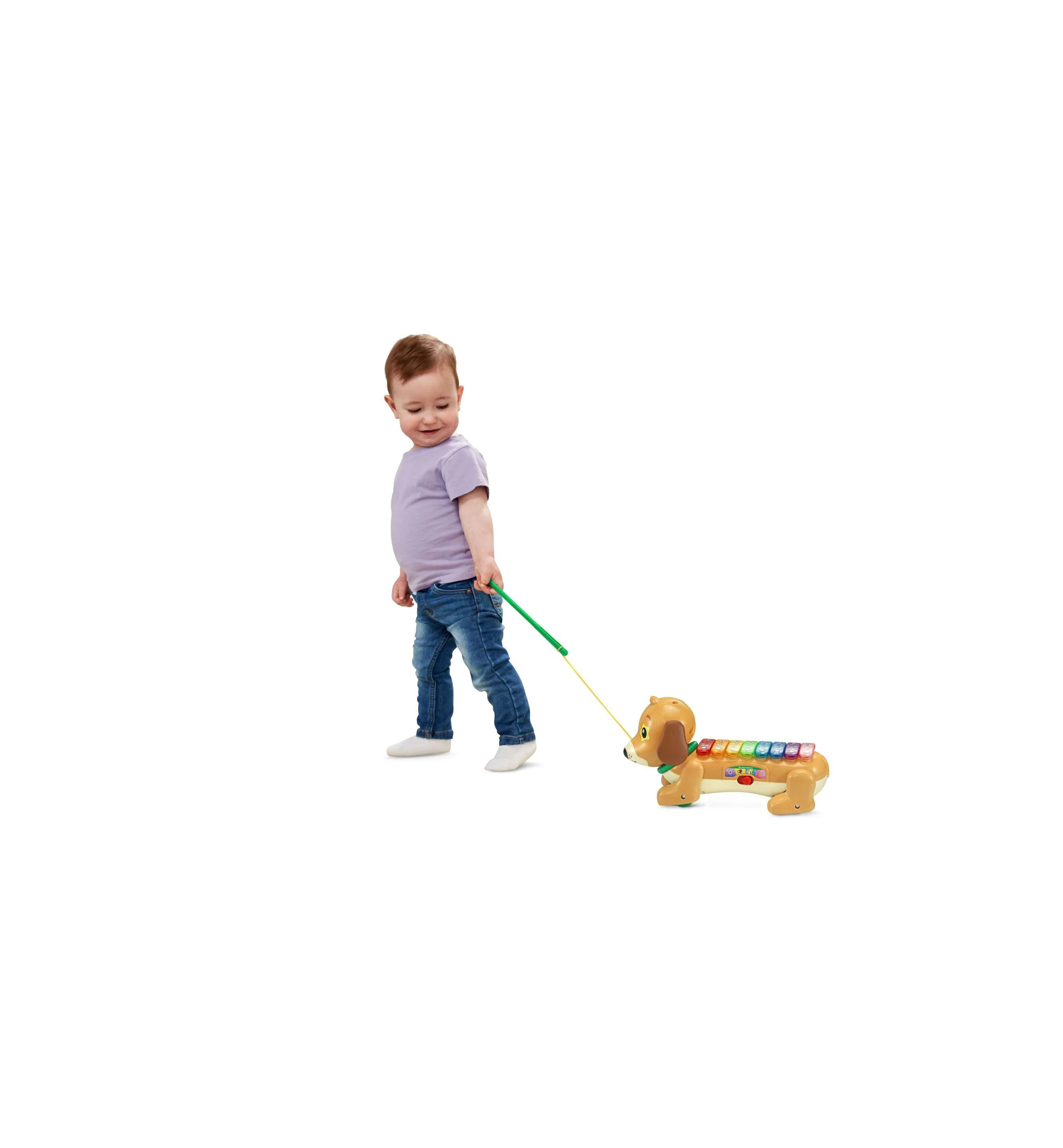 VTech Zoo Jamz Colorful Doggy Xylophone Musical Toy - Image 3