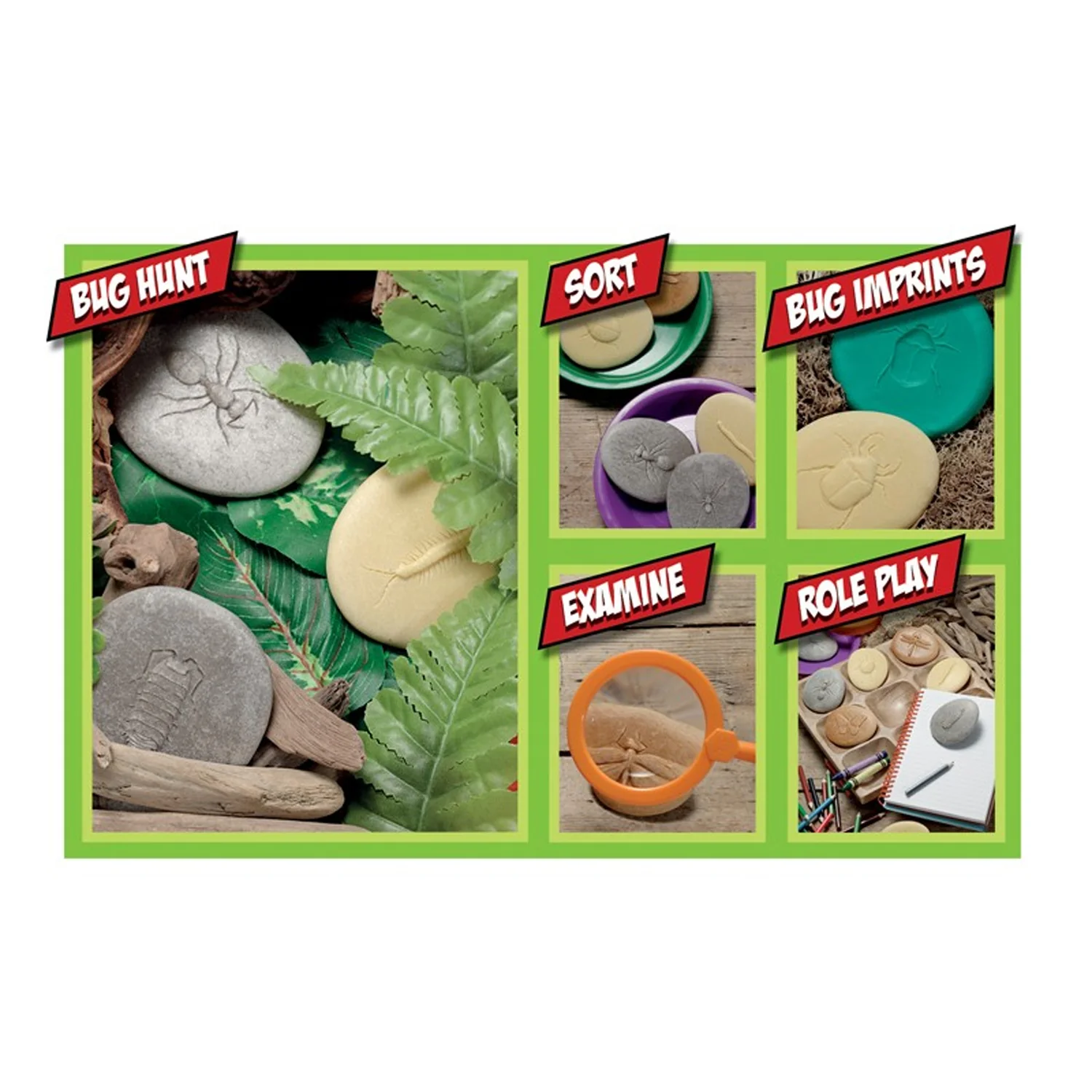 Yellow Door Let's Investigate Bugs Stone - Outdoor Learning - Pack of 8 - Image 2