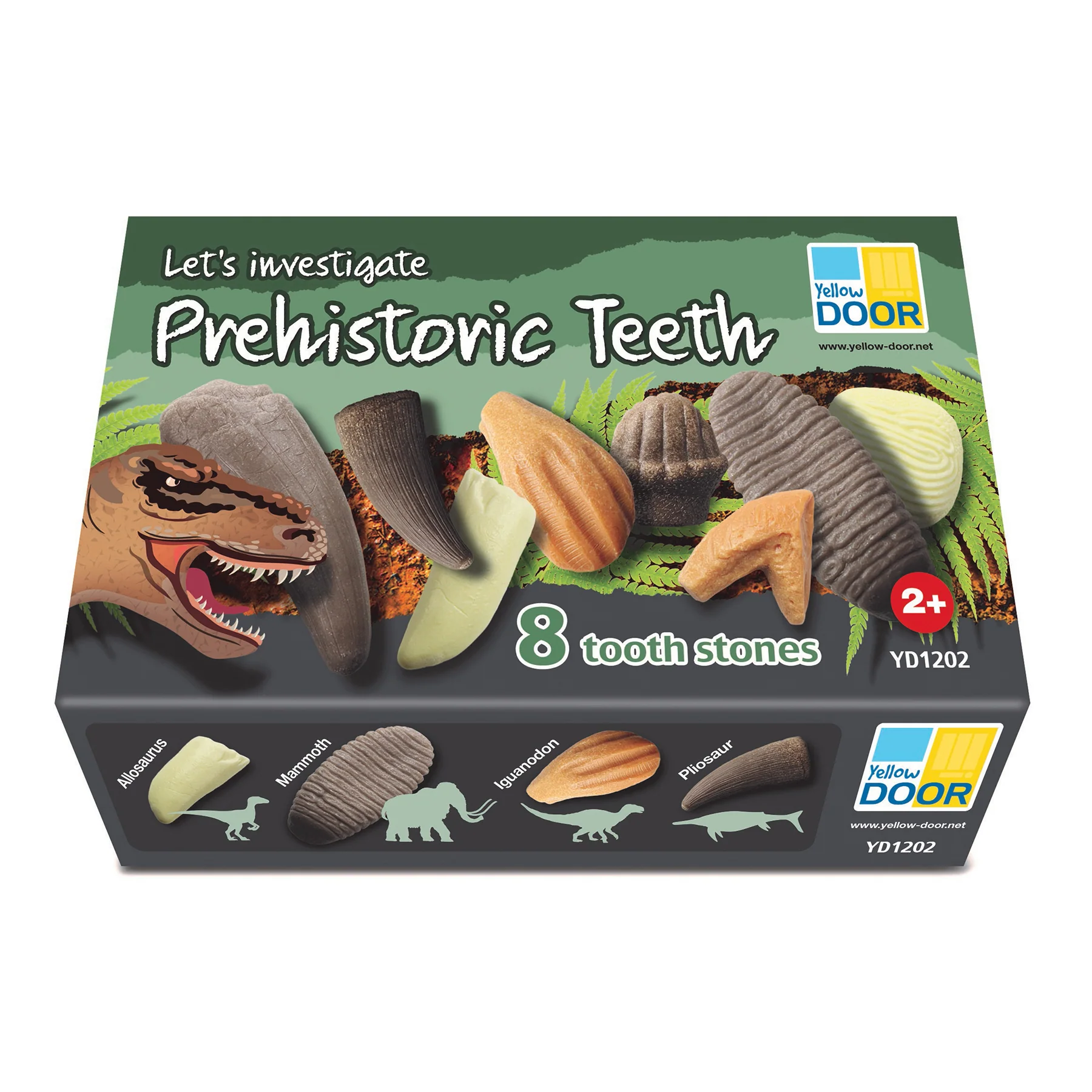 Yellow Door Let's Investigate - Prehistoric Teeth Discovery Set of 8 - Image 2