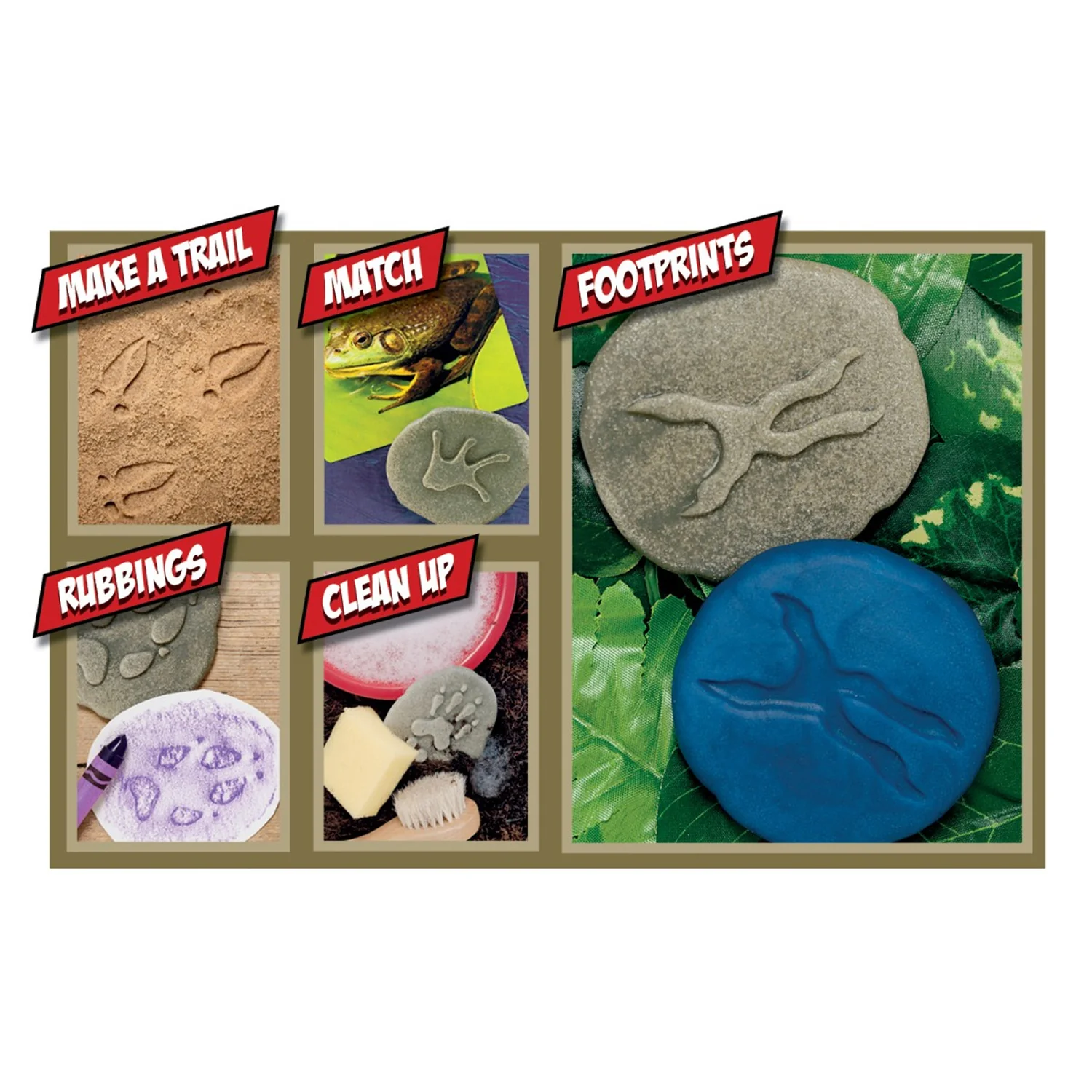 Yellow Door Woodland Footprint Stones - Set of 8 - Forest Animal Tracks - Image 2