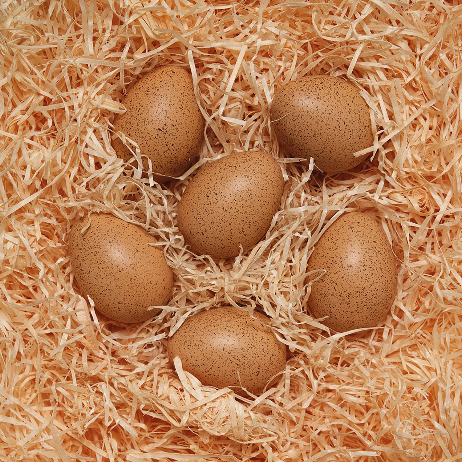 Yellow Door Sensory Sound Eggs – Auditory Learning Toy - Image 2